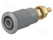 Connector: 4mm banana; socket; 32A; white; gold-plated STÄUBLI