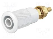 Connector: 4mm banana; socket; 32A; grey; gold-plated STÄUBLI