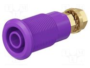 Connector: 4mm banana; socket; 32A; violet; gold-plated STÄUBLI