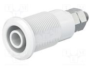 Connector: 4mm banana; socket; 32A; grey; nickel plated STÄUBLI