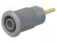 Connector: 4mm banana; socket; 1kV; 24A; grey; gold-plated STÄUBLI