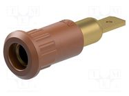 Connector: 4mm banana; socket; 25A; 30VAC; 60VDC; 30mm; brown STÄUBLI