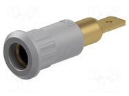 Connector: 4mm banana; socket; 25A; 30VAC; 60VDC; 30mm; grey STÄUBLI