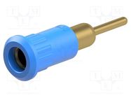 Connector: 4mm banana; socket; 25A; 30VAC; 60VDC; blue; gold-plated STÄUBLI