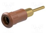 Connector: 4mm banana; socket; 25A; 30VAC; 60VDC; brown; on panel STÄUBLI