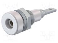 Connector: 2mm banana; socket; 10A; 23mm; white; soldered,on panel STÄUBLI