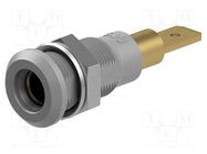 Connector: 4mm banana; socket; 25A; 30VAC; 60VDC; grey; gold-plated STÄUBLI