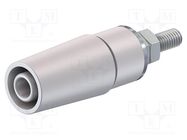 Connector: 4mm banana; socket; 32A; 1kV; white; nickel plated STÄUBLI