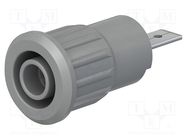 Socket; 4mm banana; 24A; 1kV; Cutout: Ø12.2mm; grey; nickel plated STÄUBLI