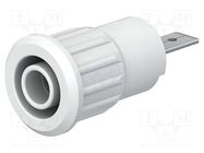 Socket; 4mm banana; 24A; 1kV; Cutout: Ø12.2mm; white; nickel plated STÄUBLI