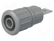 Connector: 4mm banana; socket; 32A; 1kV; grey; nickel plated STÄUBLI