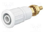 Connector: 4mm banana; socket; 32A; 1kV; white; gold-plated STÄUBLI