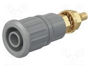 Connector: 4mm banana; socket; 32A; 1kV; grey; gold-plated STÄUBLI