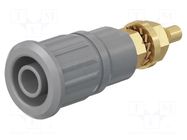 Connector: 4mm banana; socket; 1kV; 32A; grey; gold-plated STÄUBLI