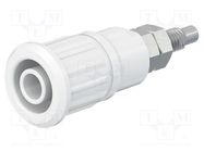 Connector: 4mm banana; socket; 32A; 1kV; white; nickel plated STÄUBLI