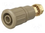 Connector: 4mm banana; socket; 1kV; 32A; brown; gold-plated STÄUBLI