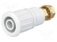 Connector: 4mm banana; socket; 32A; 1kV; white; gold-plated STÄUBLI