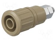 Connector: 4mm banana; socket; 32A; 1kV; brown; nickel plated STÄUBLI