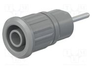 Connector: 4mm banana; socket; 24A; 1kV; L: 35.5mm; grey; on panel STÄUBLI