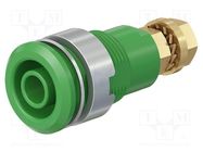 Connector: 4mm banana; socket; 32A; green; gold-plated STÄUBLI