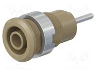 Connector: 4mm banana; socket; 24A; 1kV; L: 35.5mm; brown; on panel STÄUBLI