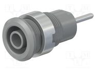 Connector: 4mm banana; socket; 24A; 1kV; L: 35.5mm; grey; on panel STÄUBLI