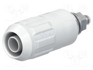 Connector: 4mm banana; socket; 20A; white; screw; insulated STÄUBLI