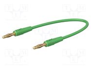 Test lead; 60VDC; 30VAC; 10A; banana plug 2mm,both sides; green 