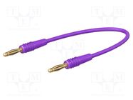 Test lead; 60VDC; 30VAC; 10A; banana plug 2mm,both sides; violet 