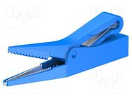 Crocodile clip; 10A; blue; Grip capac: max.9.5mm; Socket size: 4mm STÄUBLI