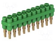 Socket strip; 2mm banana; green; 70VDC; 10A; 33VAC; Sockets: 20; 6mm STÄUBLI