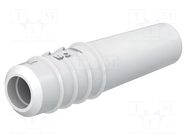 Accessories: case; white; Overall len: 16mm; Socket size: 2mm STÄUBLI