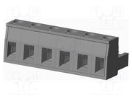 Pluggable terminal block; 7.62mm; straight; plug; female; UL94V-0 AMPHENOL ANYTEK