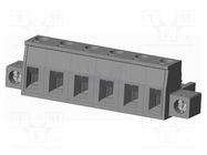 Pluggable terminal block; 7.62mm; straight; plug; female; UL94V-0 AMPHENOL ANYTEK