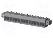 Connector: pluggable terminal block; plug; female; 10A; 300V; grey AMPHENOL ANYTEK