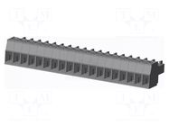 Connector: pluggable terminal block; plug; female; 10A; 300V; grey AMPHENOL ANYTEK