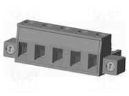 Pluggable terminal block; 7.62mm; straight; plug; female; UL94V-0 AMPHENOL ANYTEK