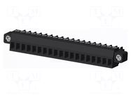 Connector: pluggable terminal block; plug; female; 10A; 300V; PA66 AMPHENOL ANYTEK