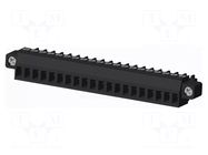 Connector: pluggable terminal block; plug; female; 10A; 300V; PA66 AMPHENOL ANYTEK