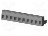 Pluggable terminal block; 7.62mm; straight; plug; female; UL94V-0 AMPHENOL ANYTEK