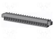 Connector: pluggable terminal block; plug; female; 10A; 300V; grey AMPHENOL ANYTEK