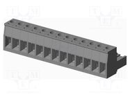 Pluggable terminal block; 5.08mm; straight; plug; female; UL94V-0 AMPHENOL ANYTEK