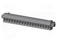 Connector: pluggable terminal block; plug; female; 12A; 300V; grey AMPHENOL ANYTEK
