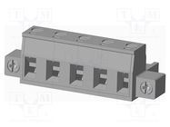 Pluggable terminal block; 7.5mm; straight; plug; female; UL94V-0 AMPHENOL ANYTEK