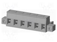 Pluggable terminal block; 7.5mm; straight; plug; female; UL94V-0 AMPHENOL ANYTEK