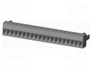 Connector: pluggable terminal block; plug; female; 12A; 300V; grey AMPHENOL ANYTEK