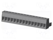 Connector: pluggable terminal block; plug; female; 12A; 300V; grey AMPHENOL ANYTEK