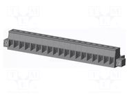 Connector: pluggable terminal block; plug; female; 12A; 300V; grey AMPHENOL ANYTEK