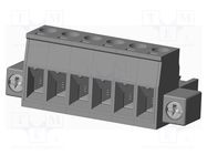 Pluggable terminal block; 5.08mm; straight; plug; female; UL94V-0 AMPHENOL ANYTEK