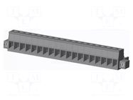 Connector: pluggable terminal block; plug; female; 12A; 300V; grey AMPHENOL ANYTEK